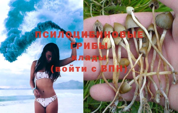 spice Арсеньев