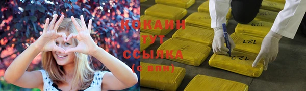 spice Арсеньев
