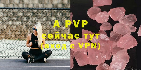 spice Арсеньев