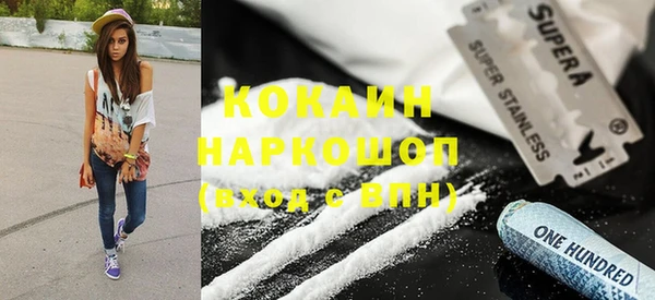 прущие грибы Армянск